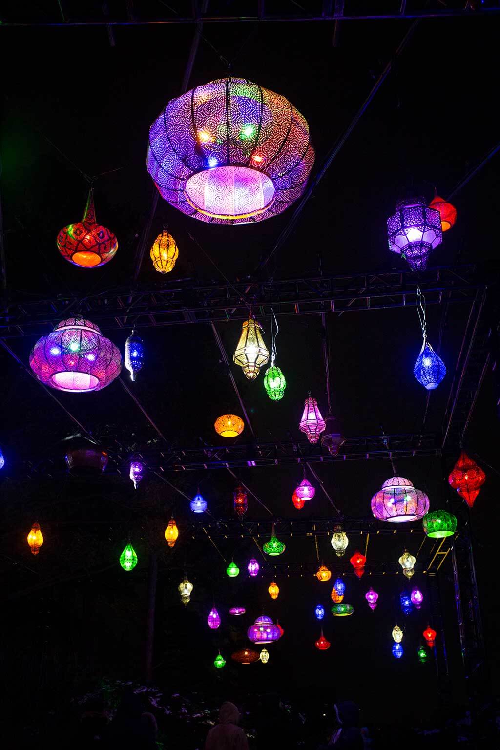 drive-swim-fly-lisle-illinois-morton-arboretum-illumination-holiday-lights-winter-celebration-turkish-lamps-vertical