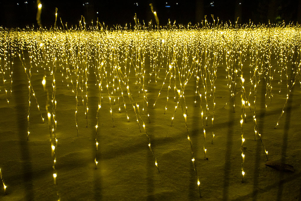 drive-swim-fly-lisle-illinois-morton-arboretum-illumination-holiday-lights-winter-celebration-twinkle-light-sticks-field