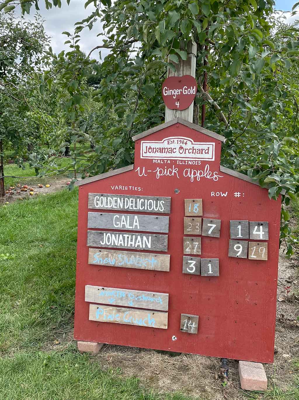 drive-swim-fly-malta-illinois-jonamac-apple-orchard-apple-picking-pumpkin-patch-apple-sign
