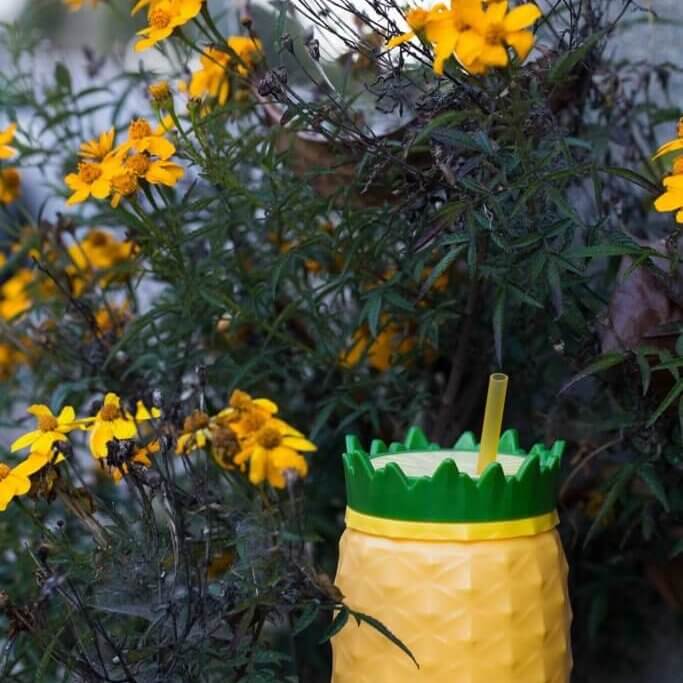 drive-swim-fly-california-pineapple-collection-daisies-pineapple-cup-dusk