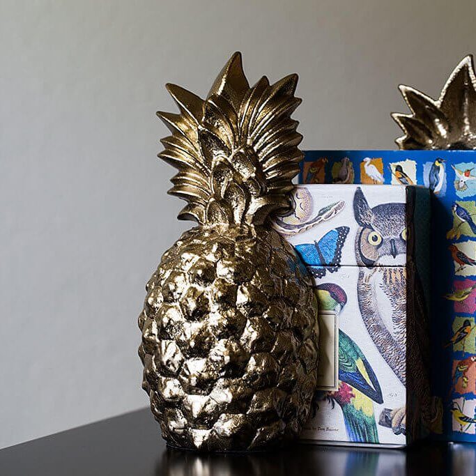 drive-swim-fly-california-pineapple-collection-fine-art-gold-book-ends-bird-books