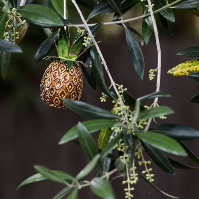 drive-swim-fly-california-pineapple-collection-ornament-olive-tree-metallic