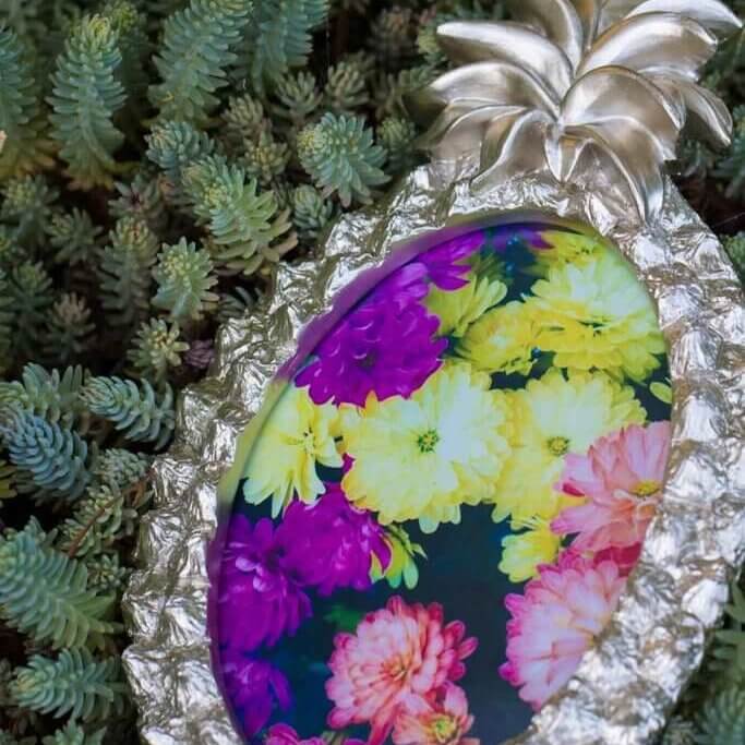 drive-swim-fly-california-pineapple-collection-succulent-picture-frame