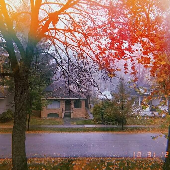 drive-swim-fly-halloween-party-spooky-dusk-neighborhood-autumn