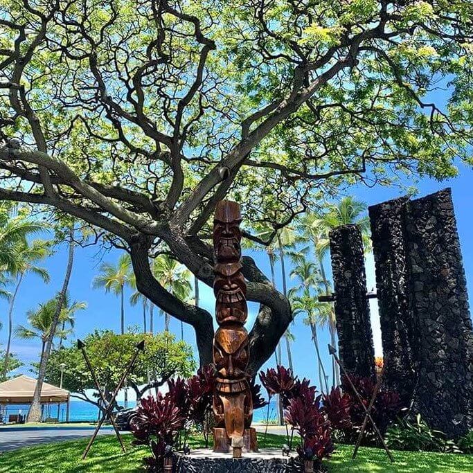 drive-swim-fly-hawaii-big-island-kona-coast-royal-kona-resort-tree